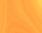 services immobilien